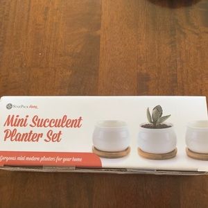 Mini succulent planter set